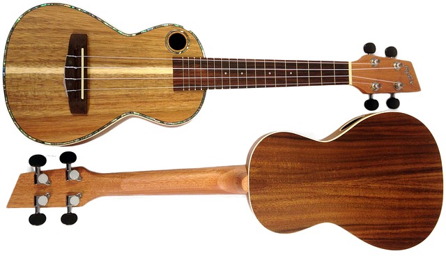 ukulele